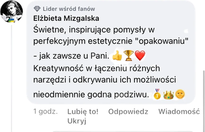 Opinia uczestniczki po egzaminie na nauczyciela mianowanego
